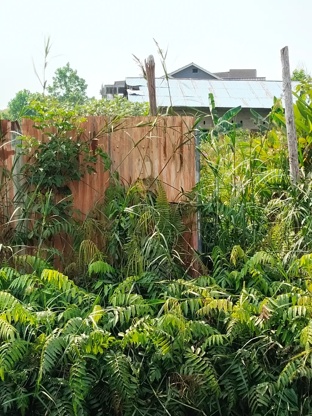 Dijual Tanah Di Sepakat 2 Pontianak, Tanah Pinggir Jalan, Lokasi Ramai Perumahan