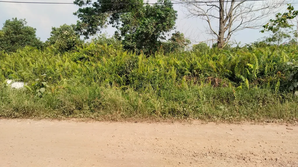 Dijual Tanah Pontianak Tenggara Di Sepakat 2 Kota  Pontianak, Tanah Pinggir Jalan , Lokasi Ramai Perumahan