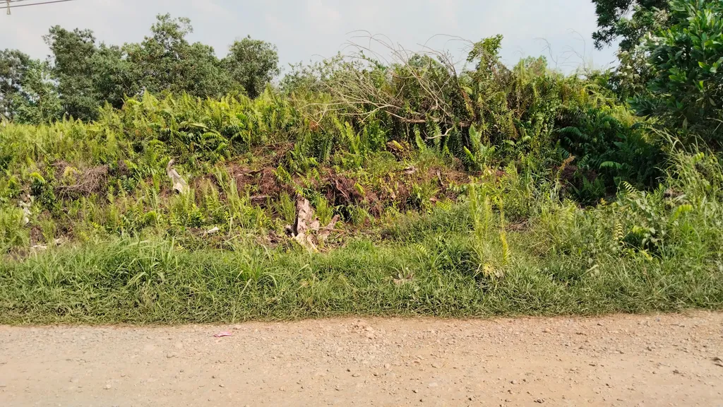 Dijual Tanah Pontianak Tenggara Di Sepakat 2 Kota  Pontianak, Tanah Pinggir Jalan , Lokasi Ramai Perumahan