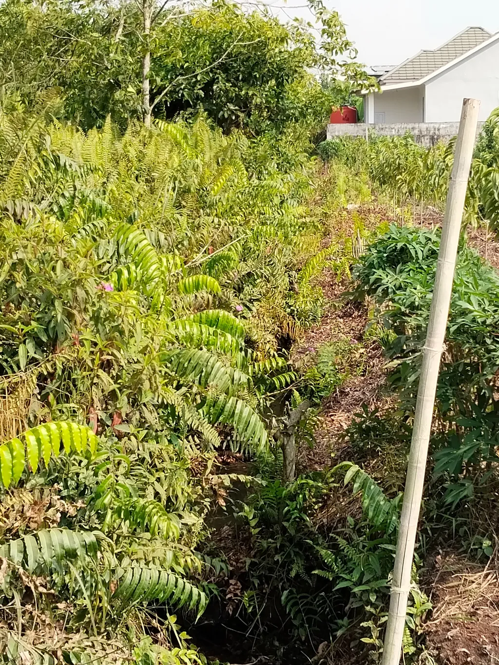 Dijual Tanah Pontianak Tenggara Di Sepakat 2 Kota  Pontianak, Tanah Pinggir Jalan , Lokasi Ramai Perumahan