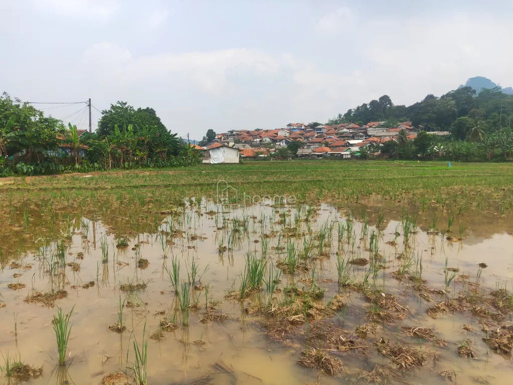 DIJUAL TANAH STRATEGIS 3,2 HEKTAR – CIGUDEG BOGOR