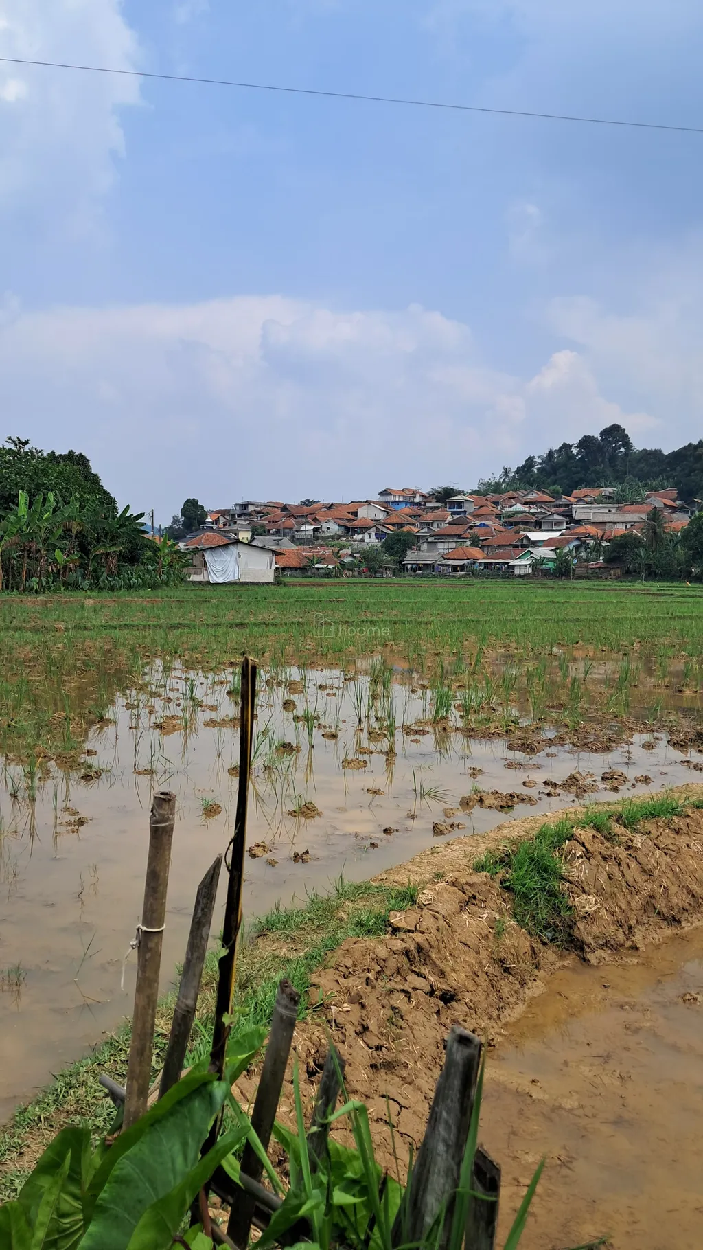 DIJUAL TANAH STRATEGIS 3,2 HEKTAR – CIGUDEG BOGOR