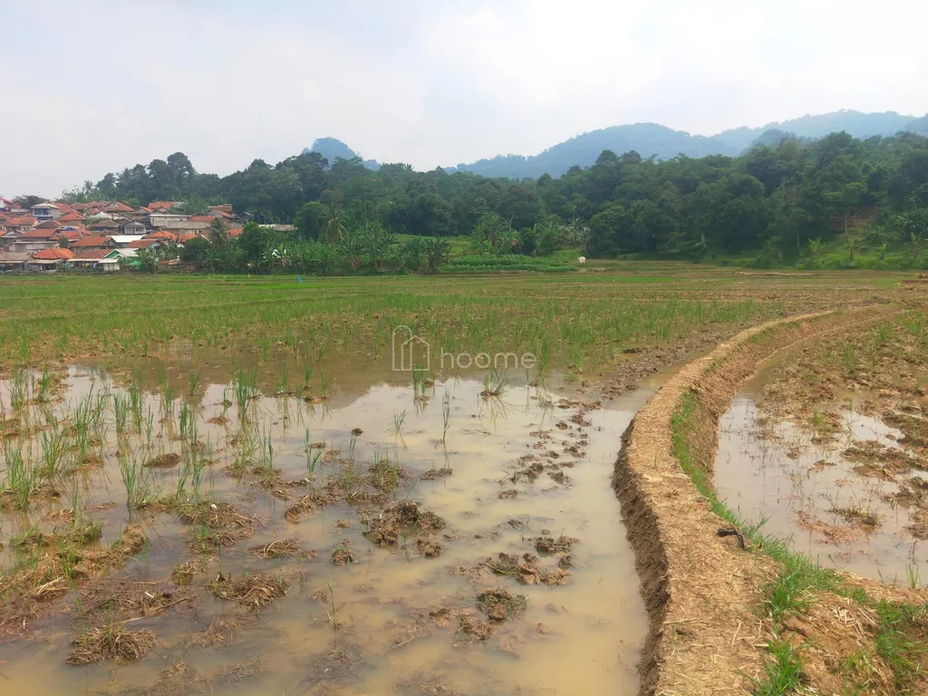 DIJUAL TANAH STRATEGIS 3,2 HEKTAR – CIGUDEG BOGOR