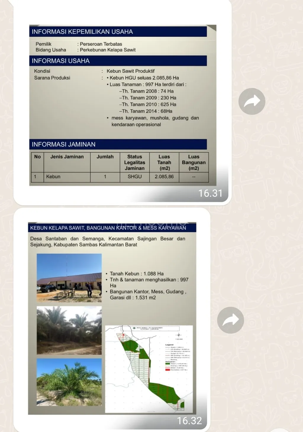 Dijual Kebun Sawit Luas 2.085,68 ha di Sambas Kalimantan Barat
