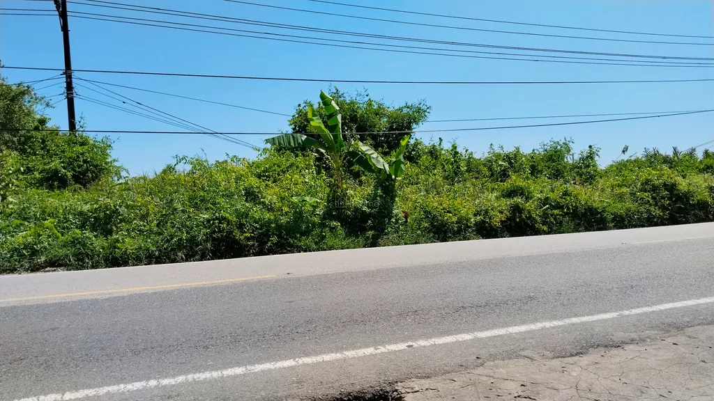 Dijual Tanah Di Wajok Hilir Kalimantan Barat, Tepi Jalan Sampai Pinggir Sungai 