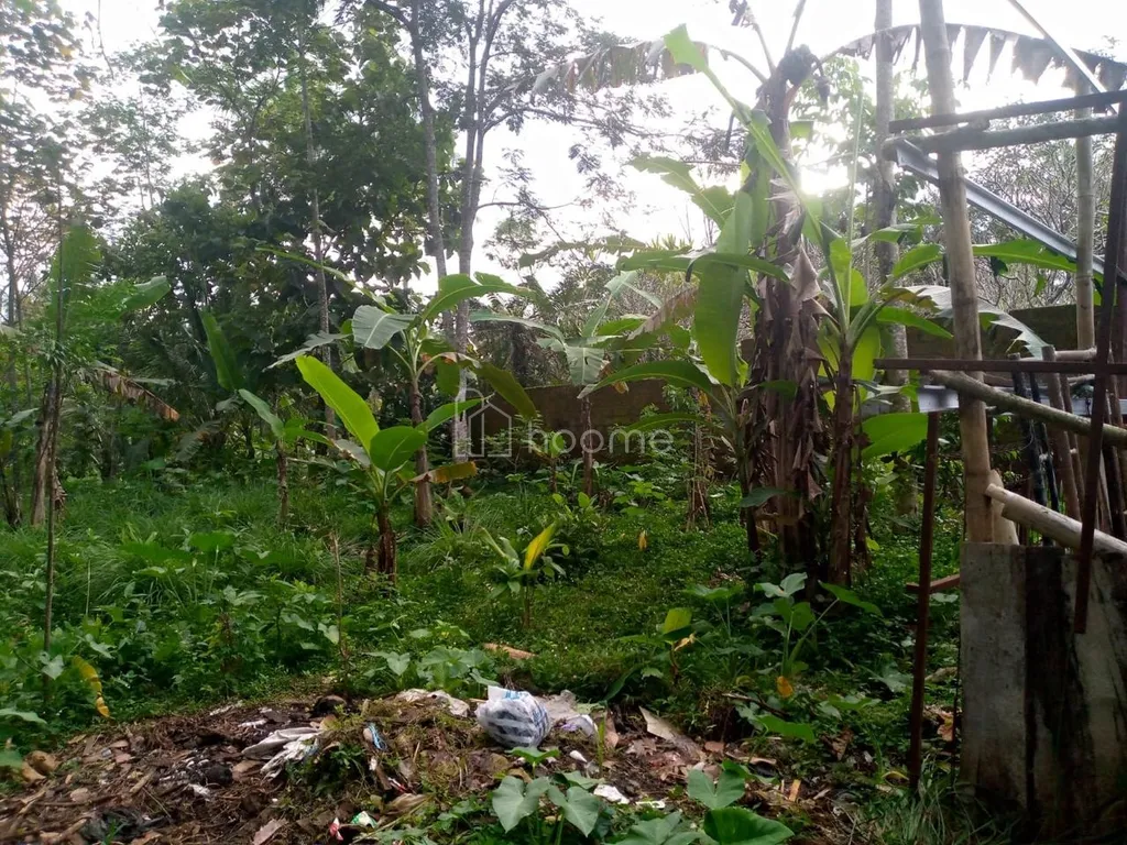 ️ TANAH STRATEGIS DEKAT JALAN RAYA SOLO–SEMARANG | SHM | SIAP INVESTASI