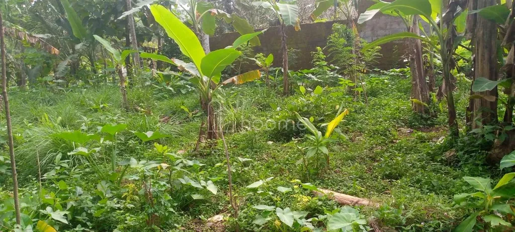 ️ TANAH STRATEGIS DEKAT JALAN RAYA SOLO–SEMARANG | SHM | SIAP INVESTASI