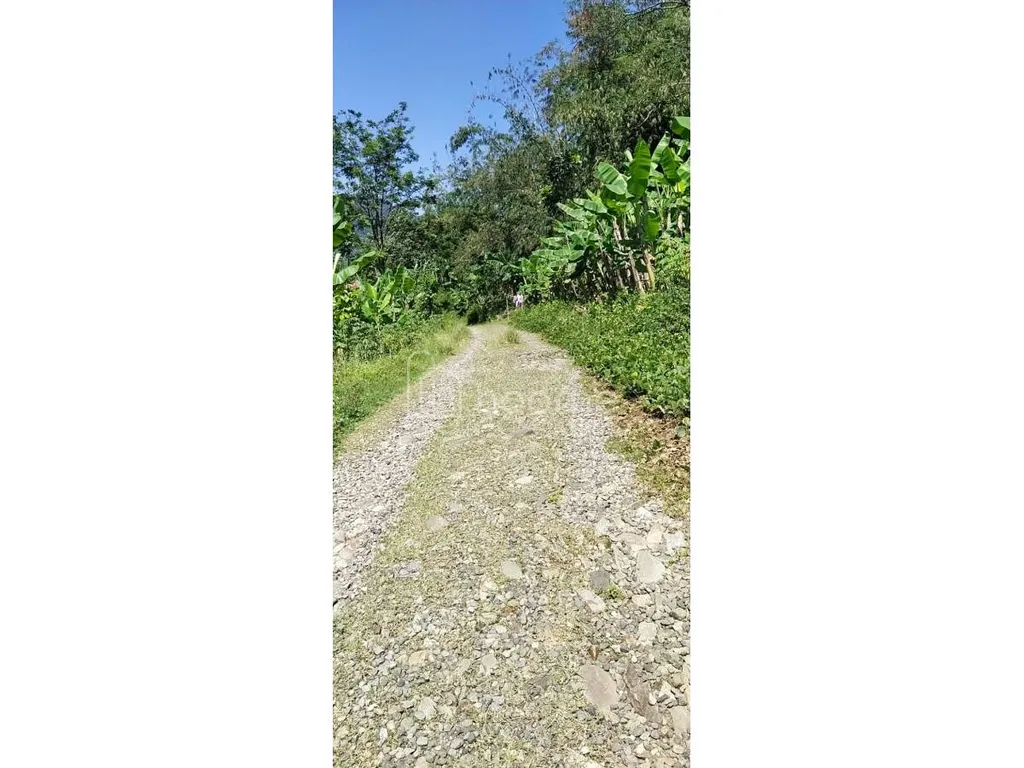 Dijual Tanah Luas 70 Hektar di Cariu, Kabupaten Bogor AG1930