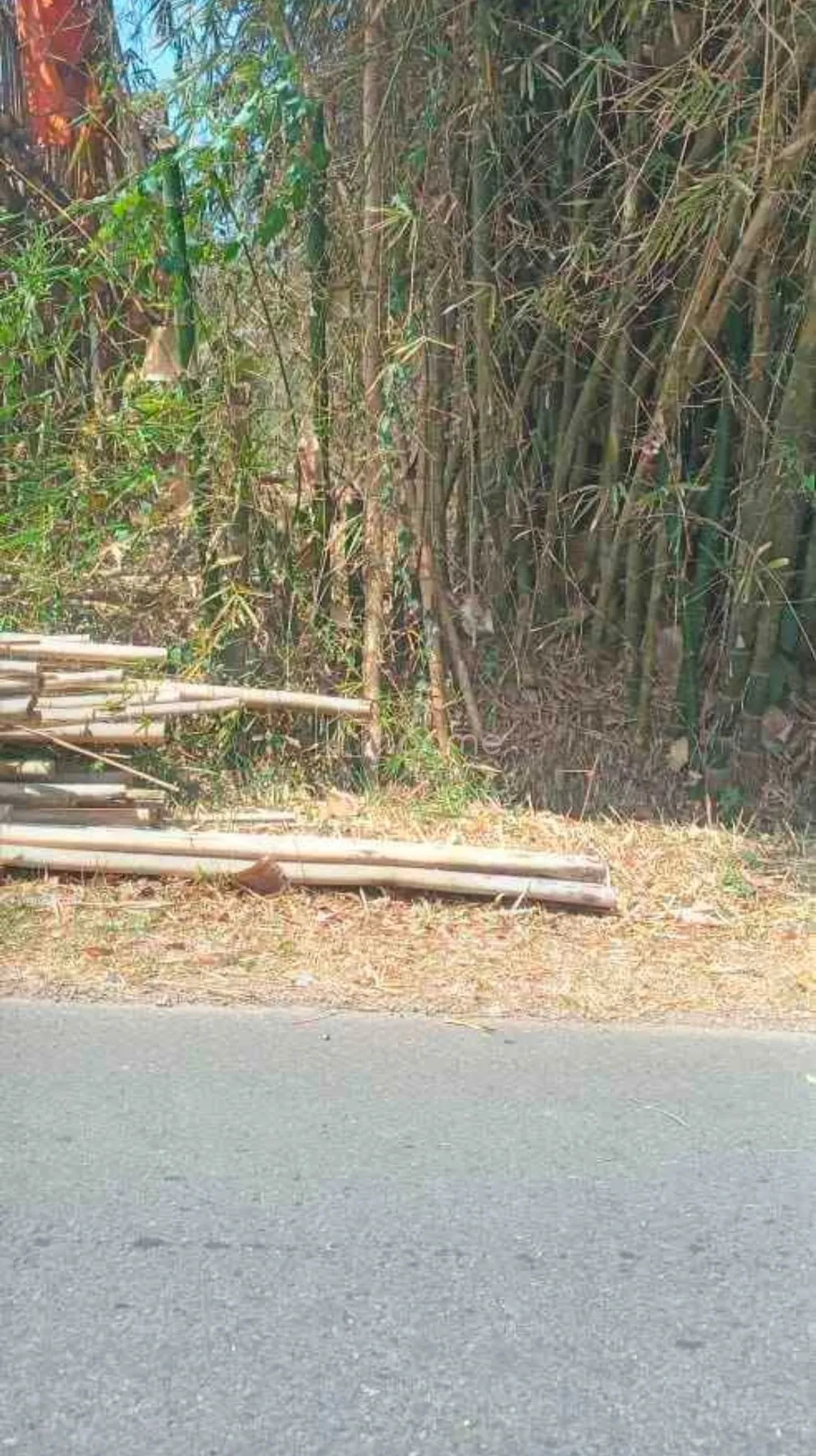 Tanah Ladang perkebunan