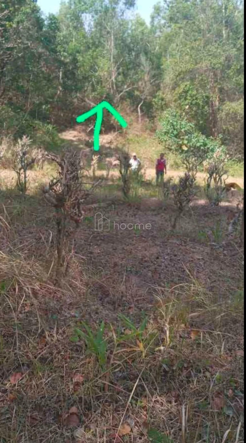 Tanah Ladang perkebunan