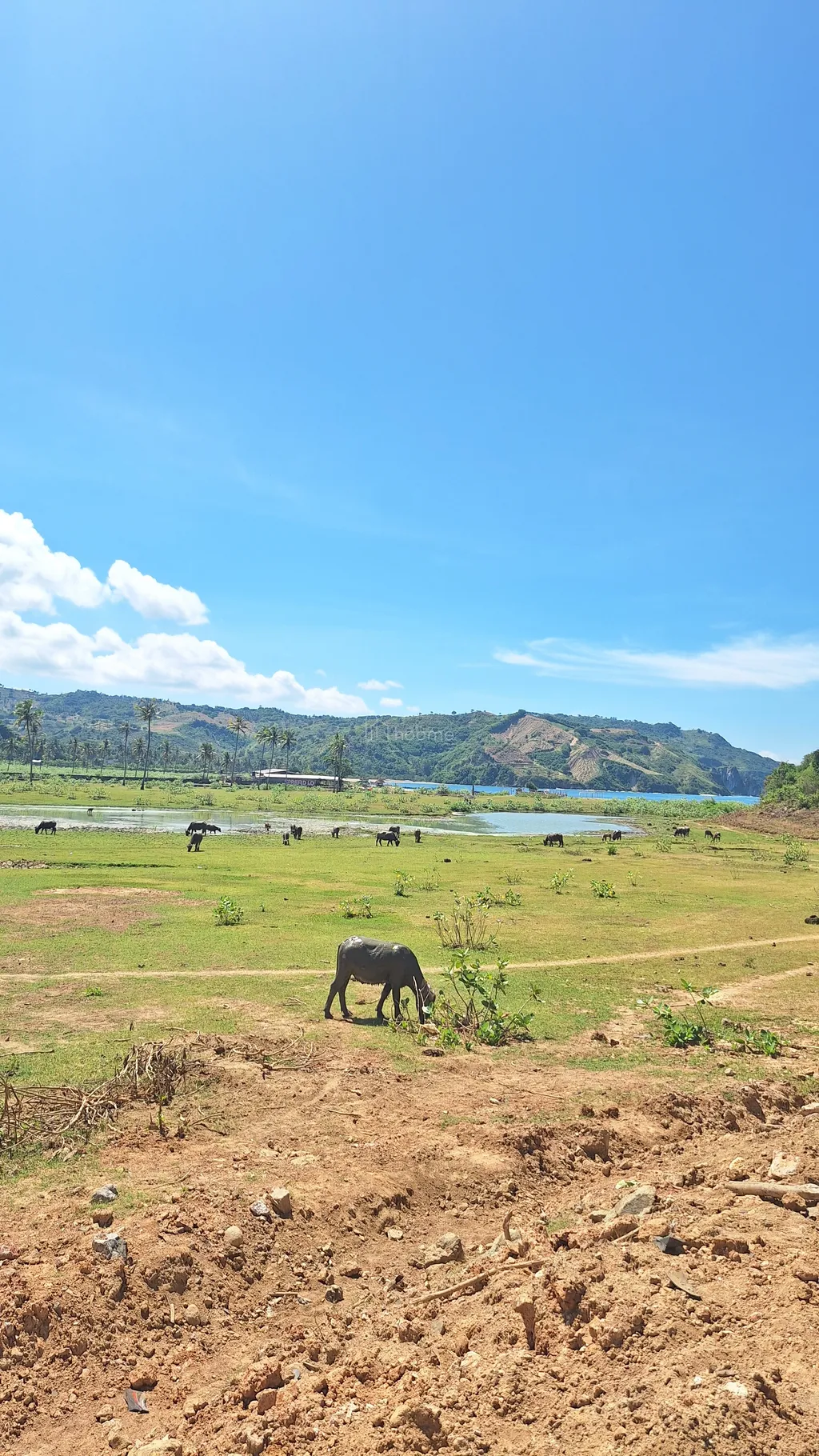 Jangan Jual Tanah Anda! Kerjasamakan dengan Kami, Dijamin Untung!