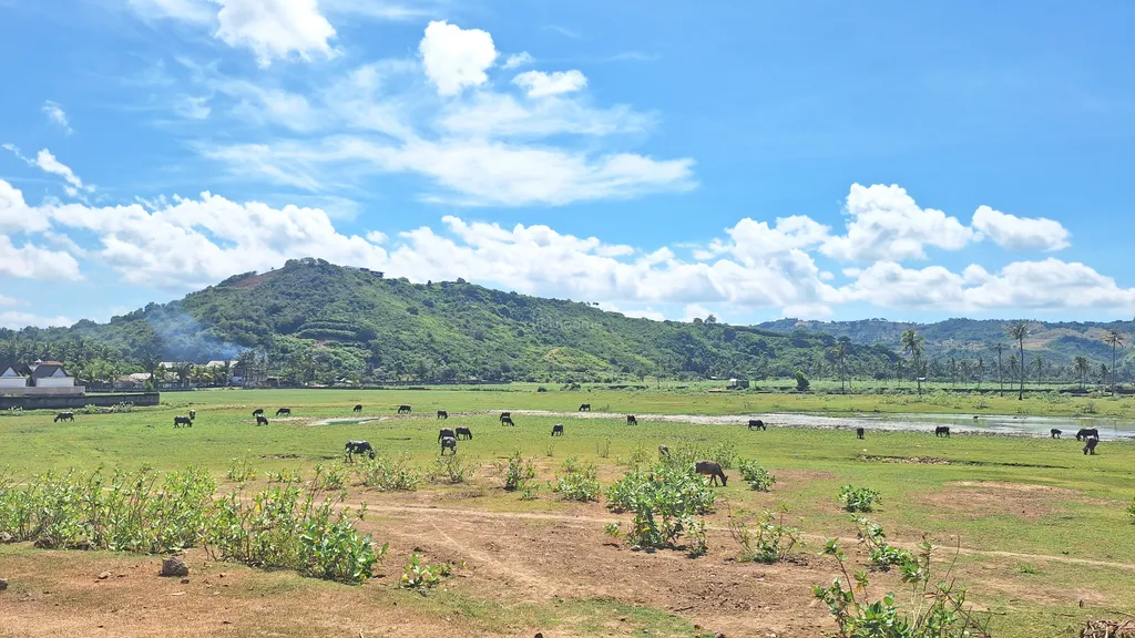 Jangan Jual Tanah Anda! Kerjasamakan dengan Kami, Dijamin Untung!
