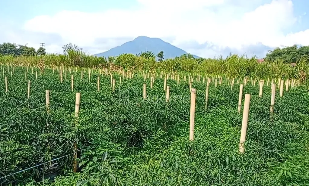 JUAL TANAH SHM DI DOLAT RAYAT BERASTAGI 5.834M² O8IZ643O4I89