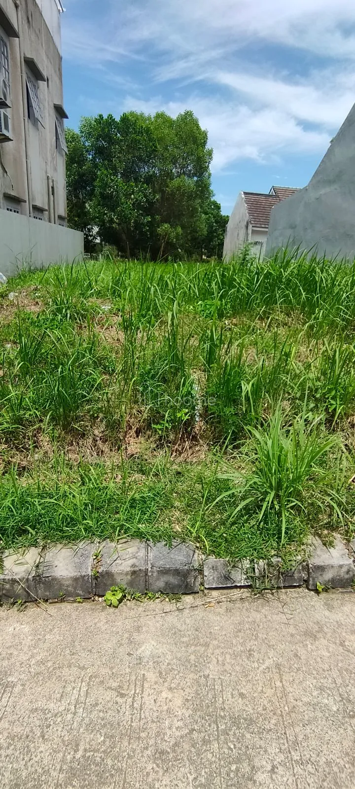 Dijual Tanah Cepat Borneo Paradiso Richwood langsung pemilik — foto 3 dari 3