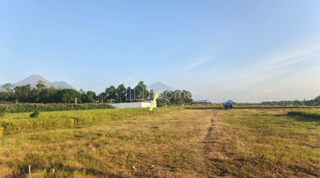Dijual Tanah Tanah Subsidi Pungging, Mojokerto — foto 3 dari 3