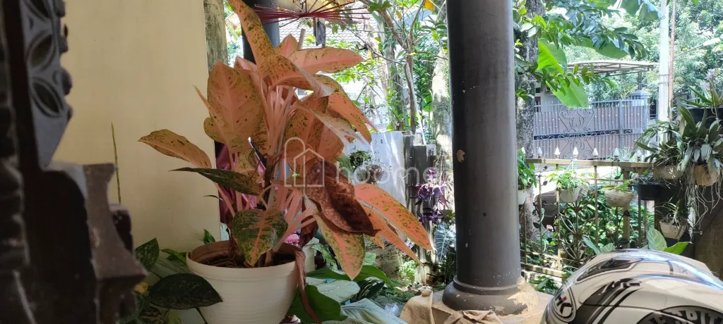 Dijual rumah cluster diatas bukit dikota Bogor  — foto 3 dari 3