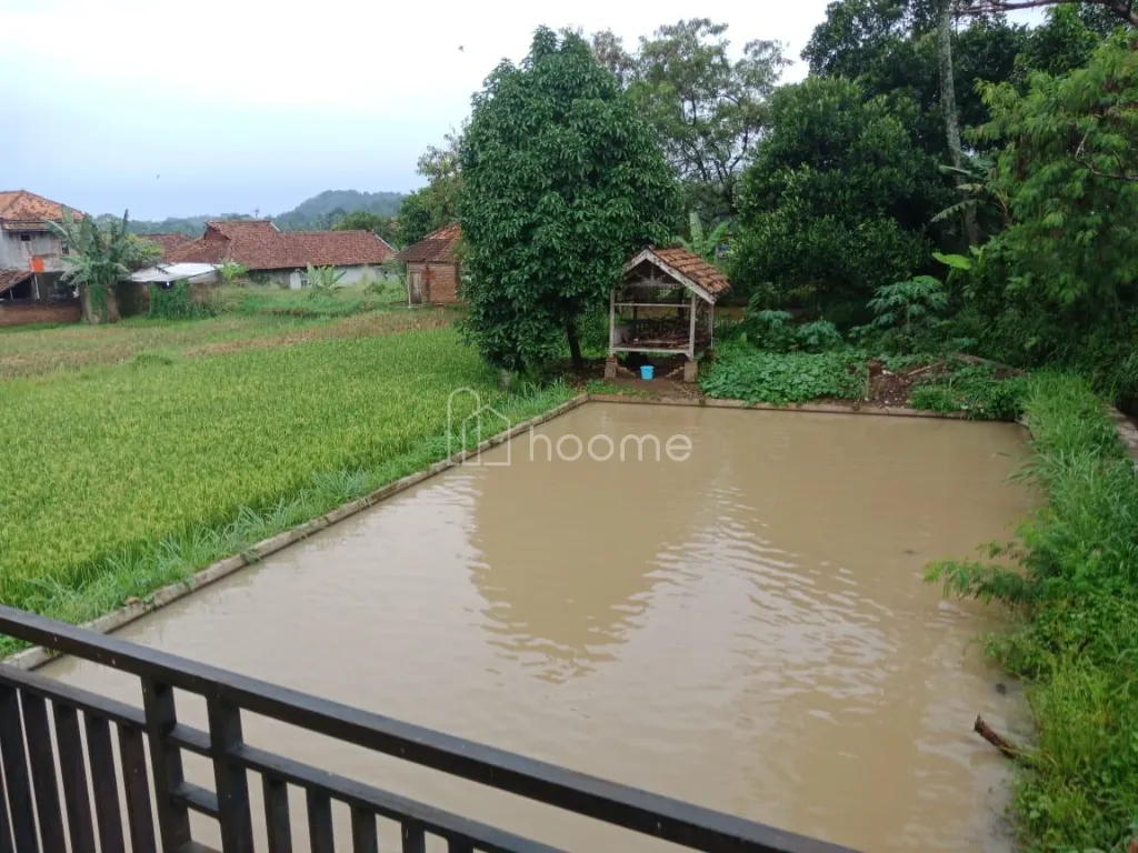 Dijual Rumah Rumah 2 Lantai + Kolam dan Sawah — foto 3 dari 4