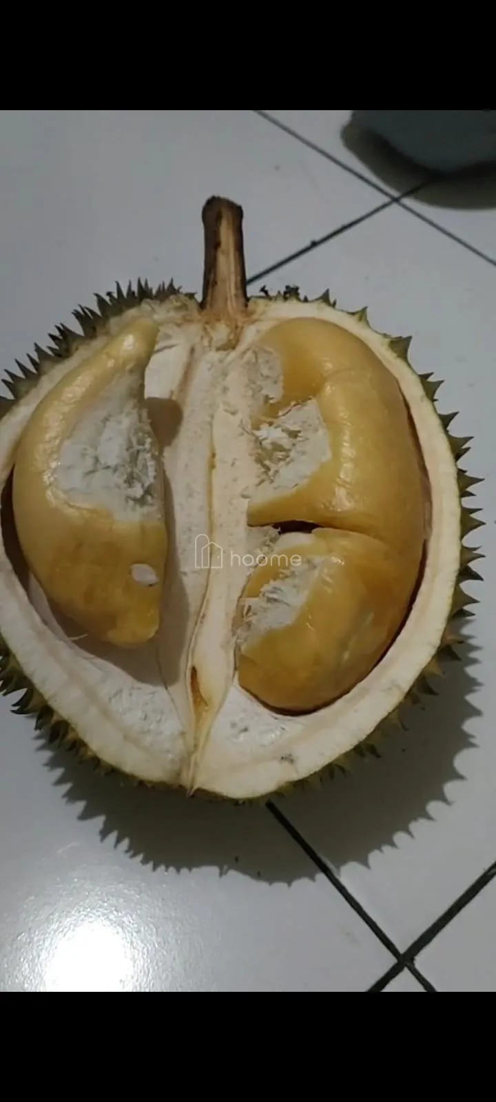 Dijual Tanah DiJUAL KEBUN DURIAN Duri Hitam-AJB — foto 1 dari 4