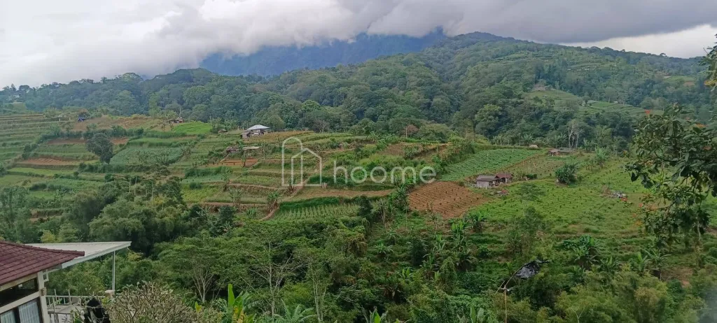 Dijual Tanah BUC, jual murah tanah di pingir jln raya bedugul — foto 1 dari 4