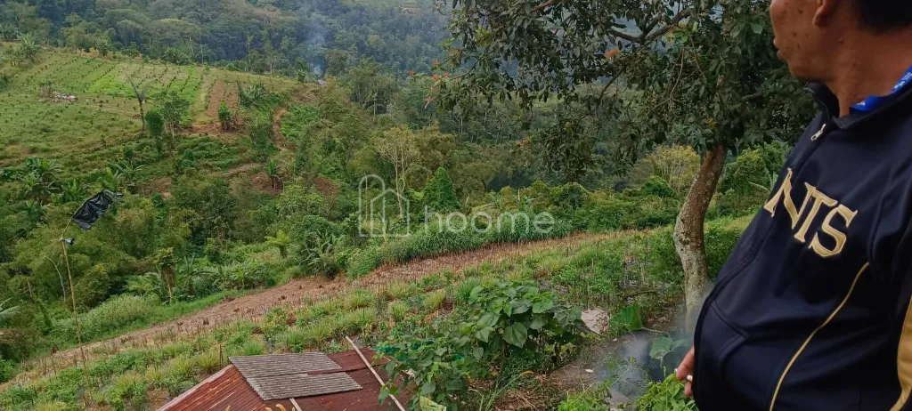 Dijual Tanah BUC, jual murah tanah di pingir jln raya bedugul — foto 3 dari 4