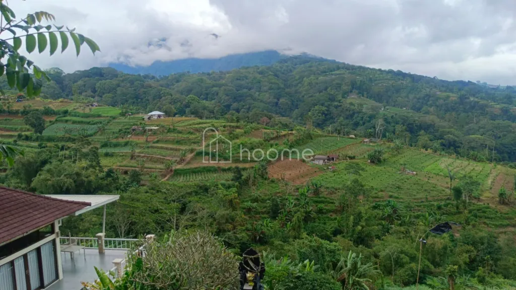 Dijual Tanah BUC, jual murah tanah di pingir jln raya bedugul — foto 4 dari 4
