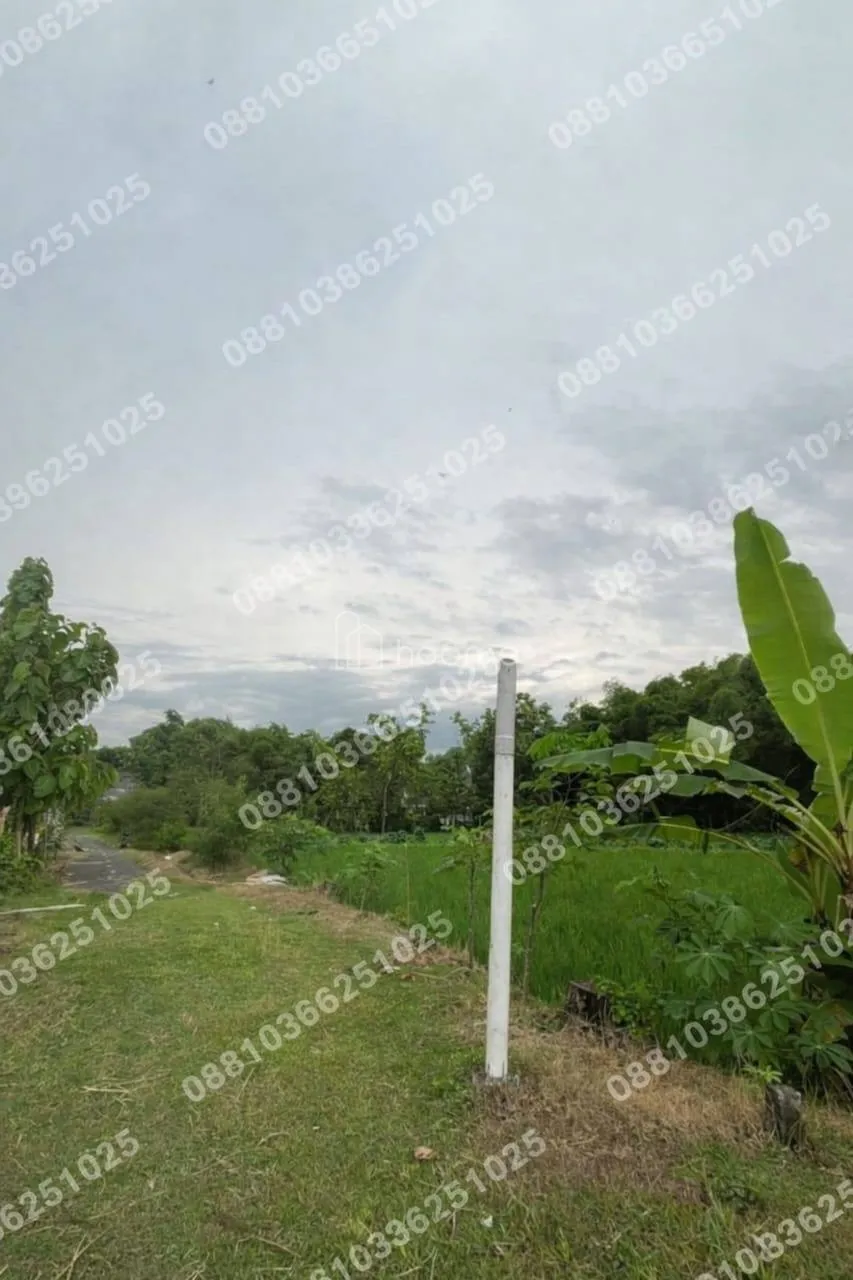 Dijual Tanah DIJUAL TANAH  – MEJAYAN CARUBAN MADIUN — foto 3 dari 4
