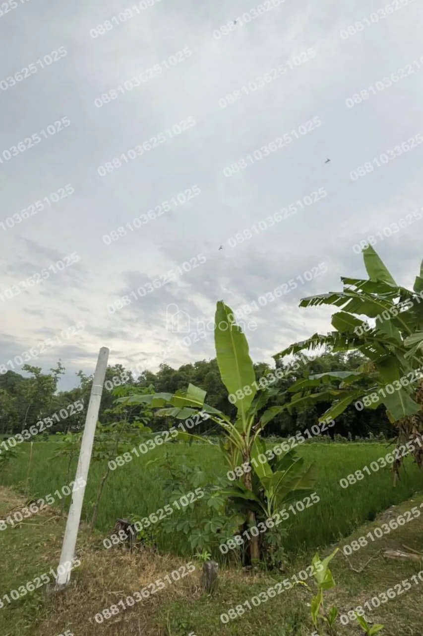 Dijual Tanah DIJUAL TANAH  – MEJAYAN CARUBAN MADIUN — foto 1 dari 4