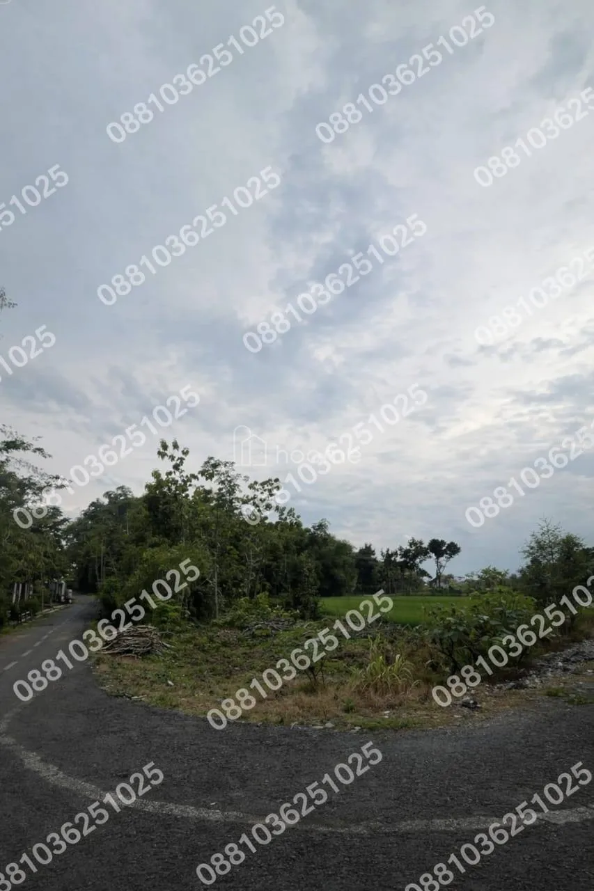 Dijual Tanah DIJUAL TANAH  – MEJAYAN CARUBAN MADIUN — foto 4 dari 4