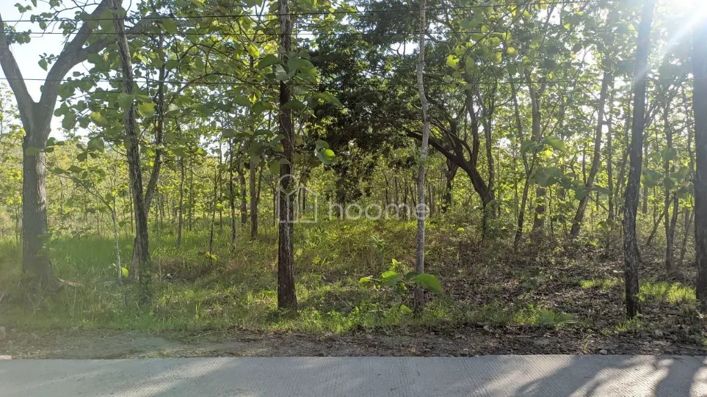 Dijual Tanah Dijual tanah murah strategis untuk investasi — foto 4 dari 4