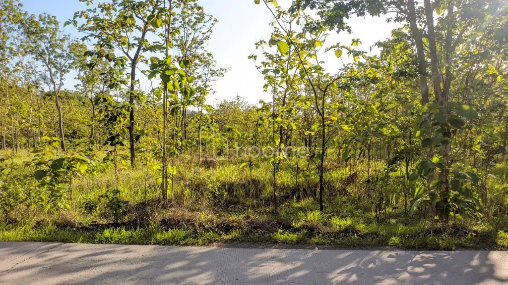 Dijual Tanah Dijual tanah murah strategis untuk investasi — foto 1 dari 4