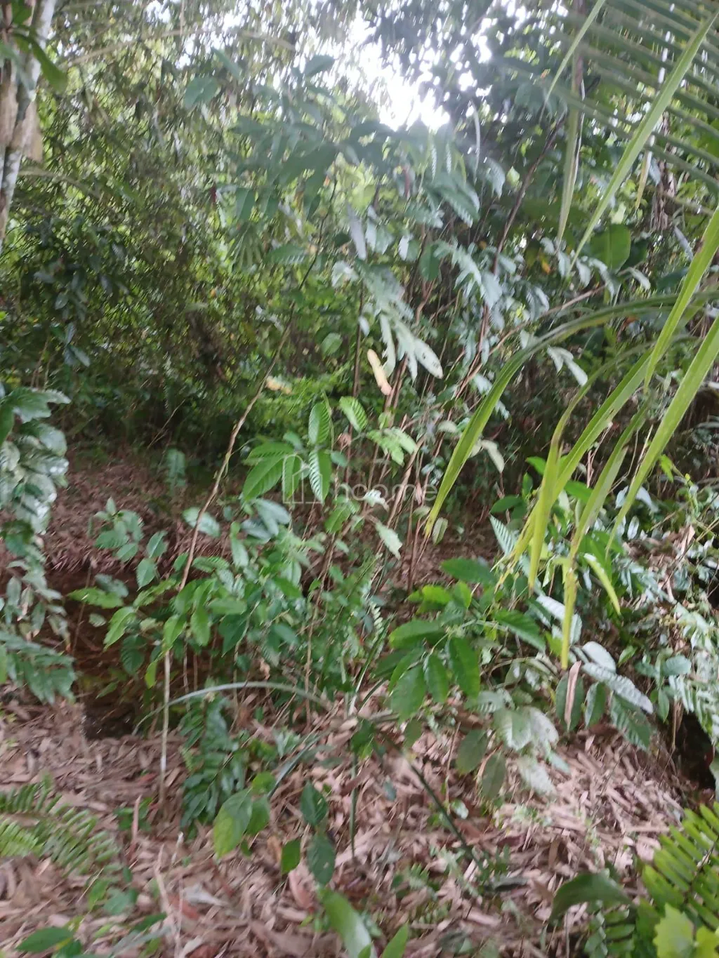 Dijual Tanah Jual Murah..Sertifikat hak milik. Nego sampai jadi — foto 1 dari 4