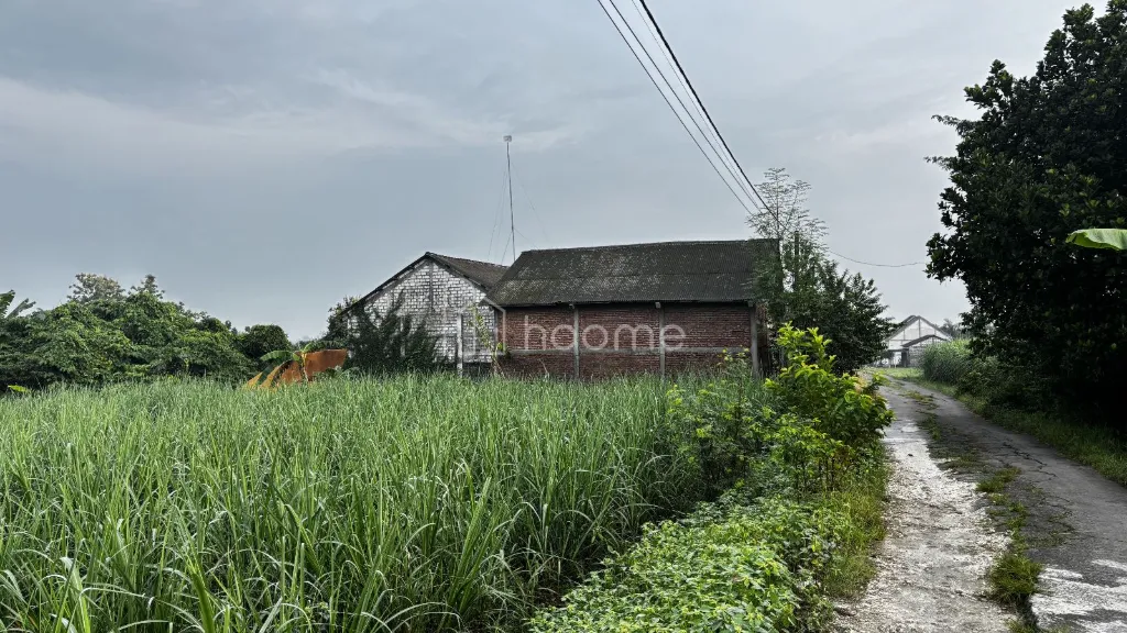 Dijual Gudang DIJUAL/DISEWAKAN GUDANG PENGGILINGAN PADI LAMONGAN — foto 3 dari 4