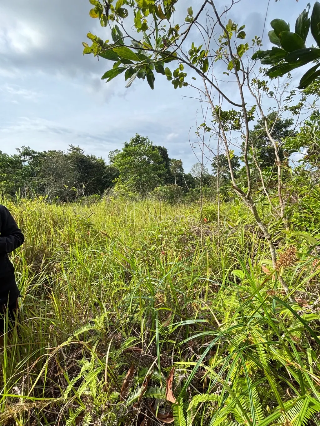 Dijual Tanah Dijual Tanah Ukuran 10x20. Lokasi Hombis Btn Javin — foto 4 dari 4