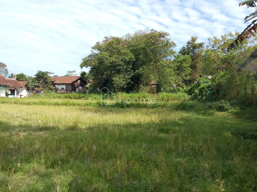 Dijual Tanah Dijual Tanah Pinggir Jalan Raya SHM — foto 3 dari 4