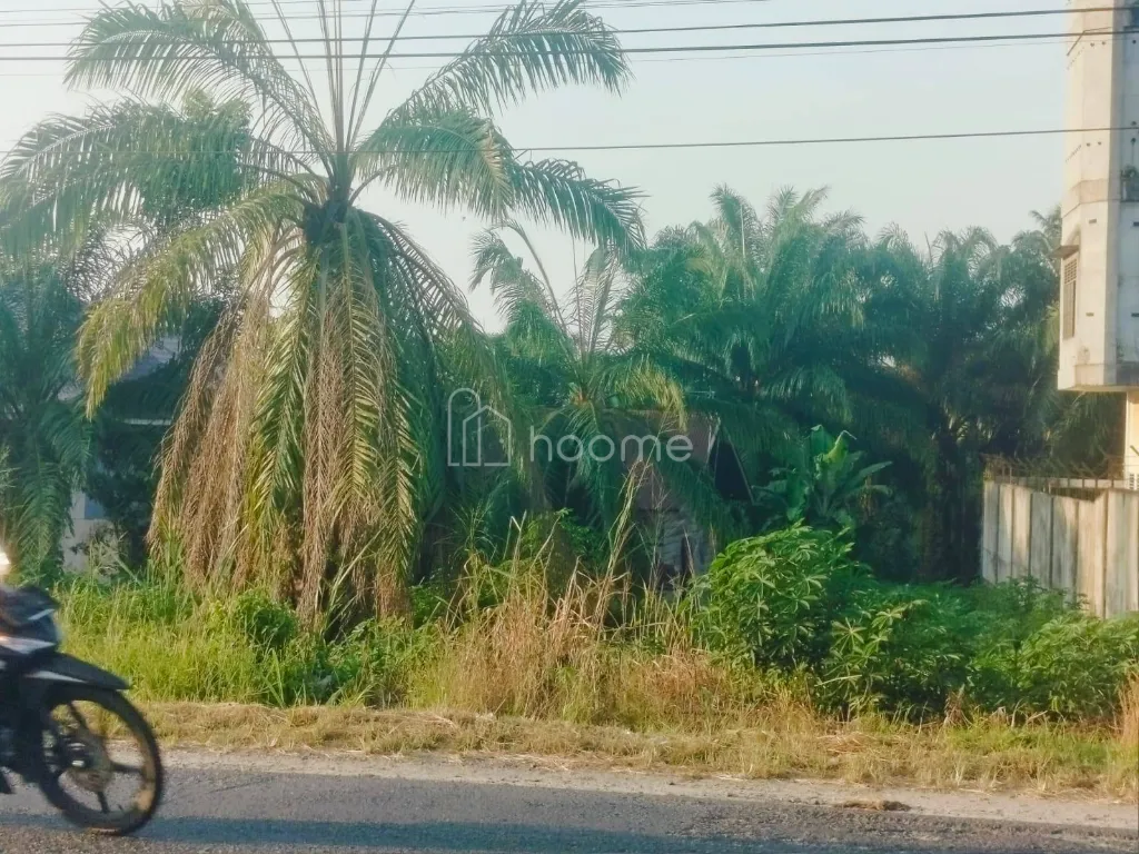 Dijual Rumah Dijual rumah tinggal plus rumah walet 6ltp — foto 1 dari 4