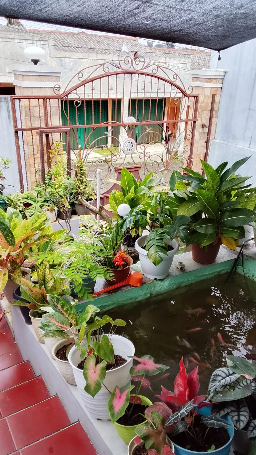 Disewa Rumah GUEST HOUSE — foto 4 dari 4