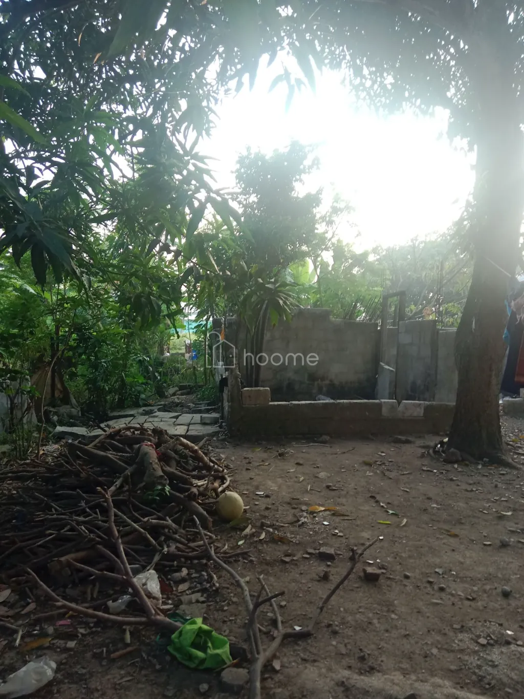 Dijual Rumah jual tanah dan rumah siap huni butuh renovasi — foto 4 dari 4