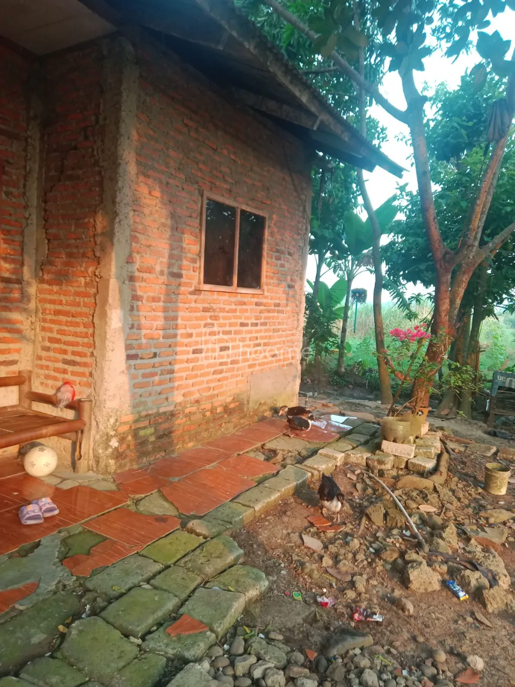 Dijual Rumah jual tanah dan rumah siap huni butuh renovasi — foto 1 dari 4