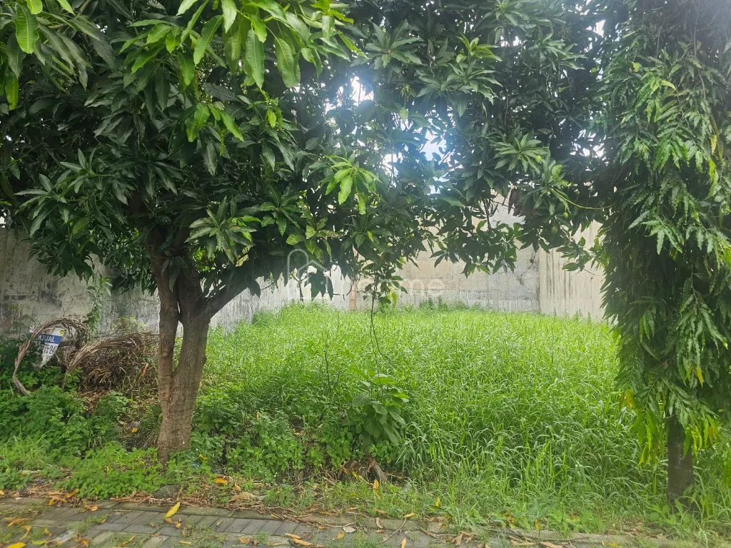Dijual Tanah Jemursari Selatan XII, Surabaya — foto 1 dari 4