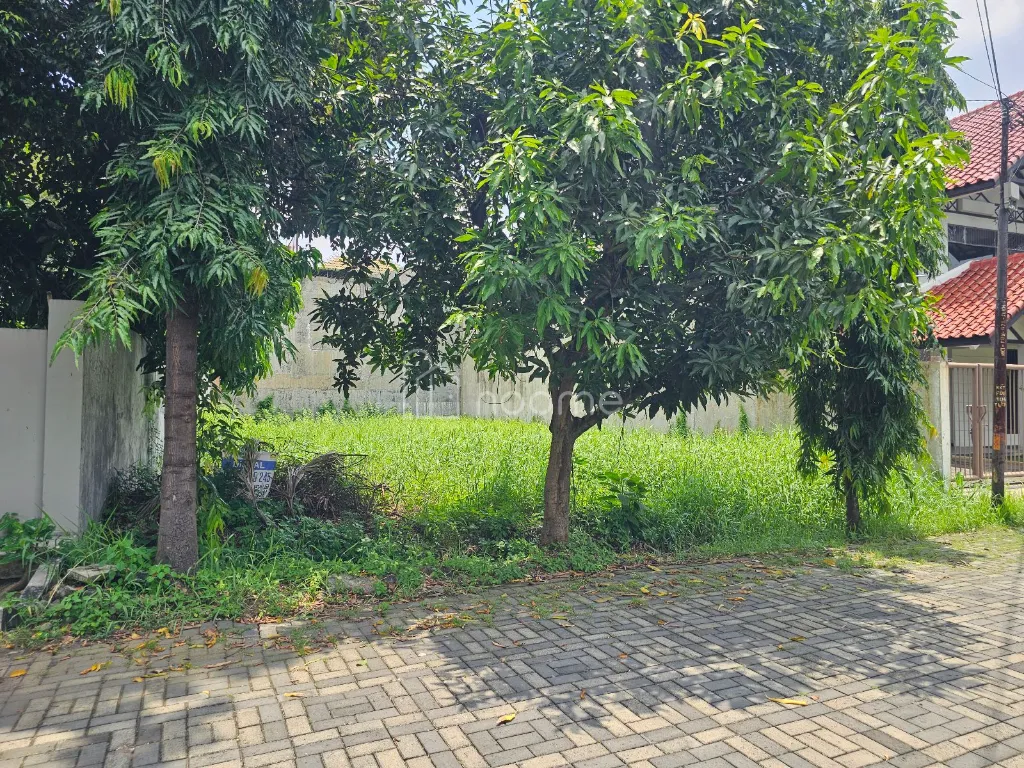 Dijual Tanah Jemursari Selatan XII, Surabaya — foto 3 dari 4
