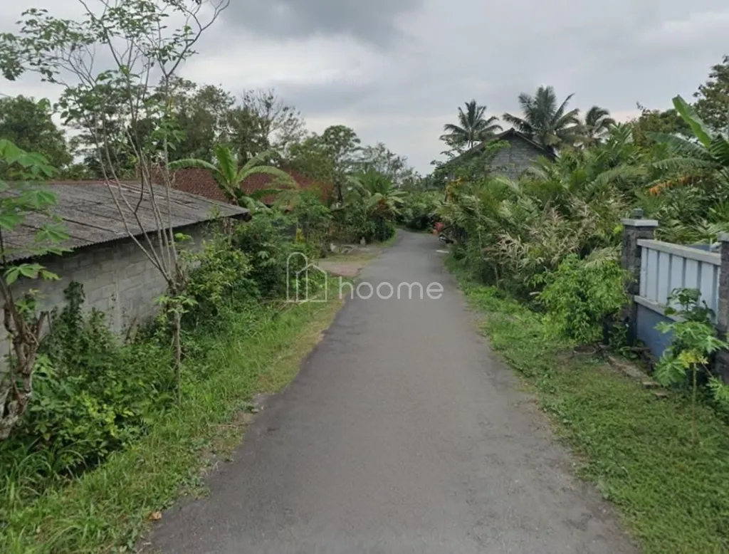 Disewa Rumah Ex kandang di Wonokerto Turi Sleman  — foto 4 dari 4
