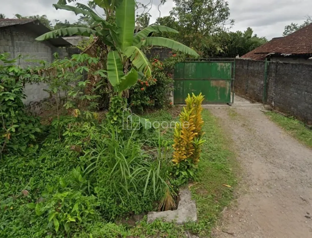 Disewa Rumah Ex kandang di Wonokerto Turi Sleman  — foto 1 dari 4