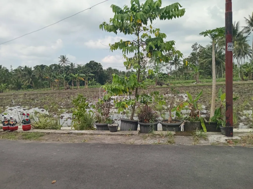Dijual Tanah Barat morolejar Wukirsari cangkringan Sleman  — foto 4 dari 4