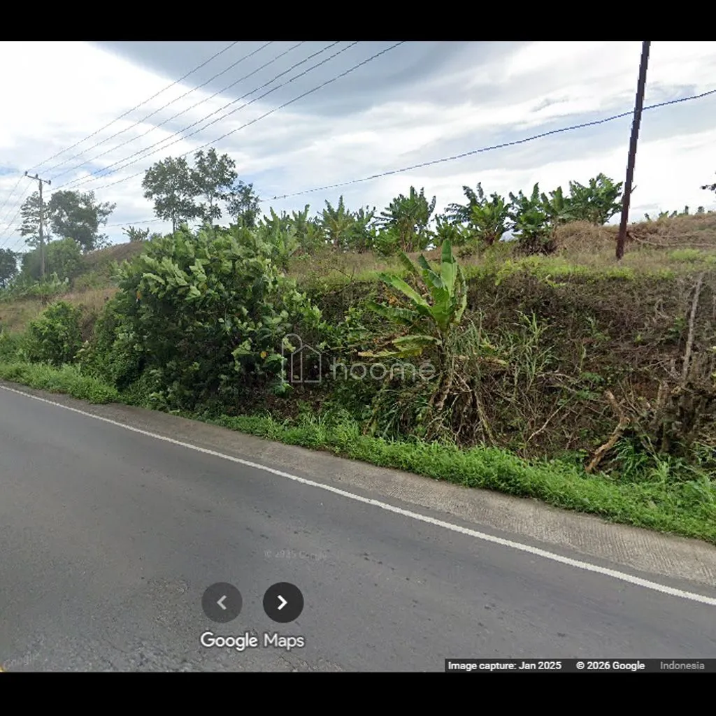 Dijual Tanah  6 hektar dekat pelabuhan Bakauheni Lampung, SHM — foto 4 dari 4