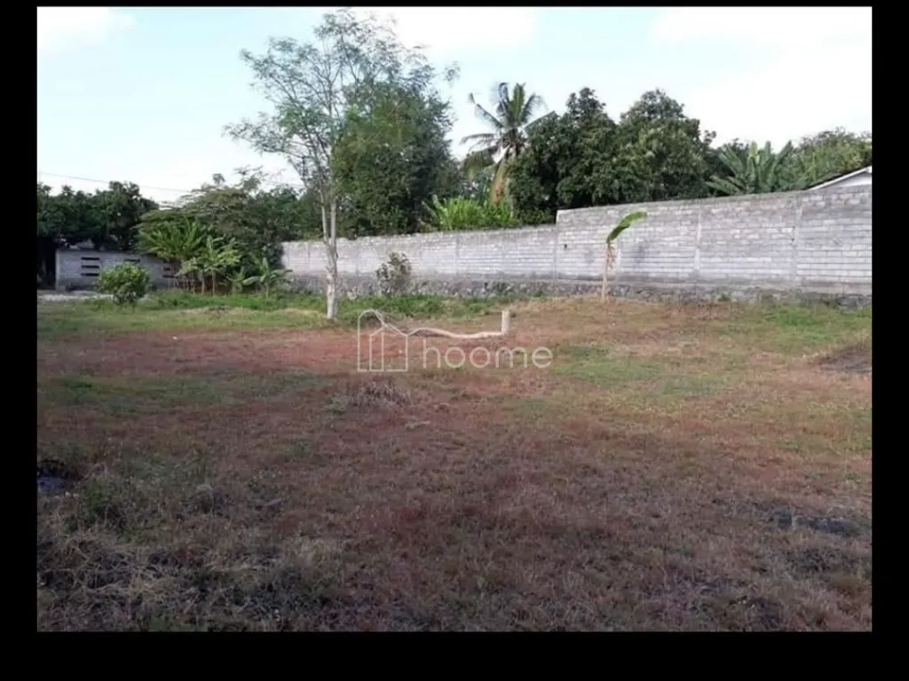 Dijual Tanah Luas 1255m²  — foto 4 dari 4
