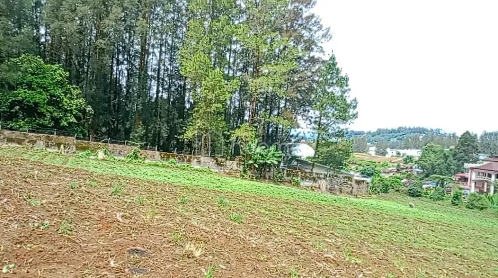 Dijual Tanah 14.236m² SHM Di Berastagi dekat Mikie Holiday — foto 1 dari 4