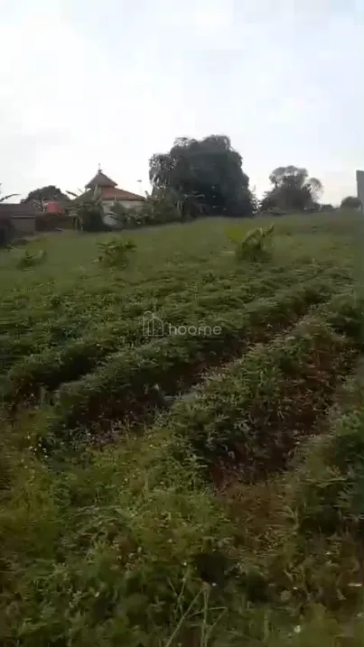 Dijual Tanah pribadi nego sampai jadi — foto 3 dari 3