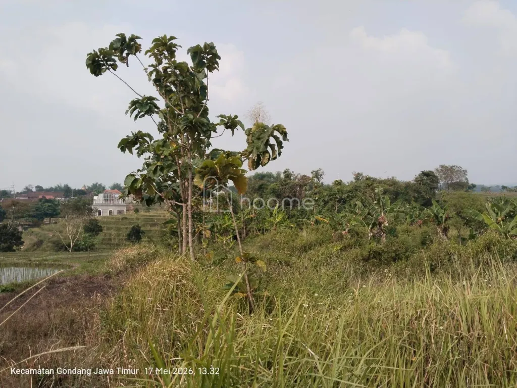 Dijual Tanah Zona Hijau dan Zona Kuning di Pacet Mojokerto HGB  — foto 1 dari 4