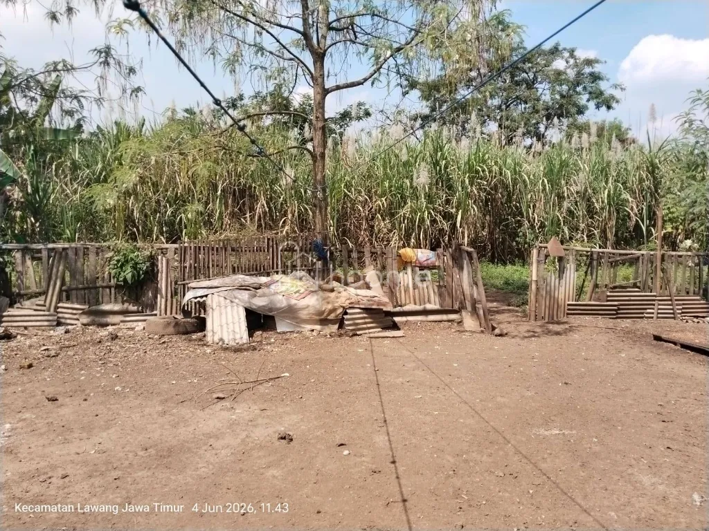Dijual Tanah di Lawang Kab.Malang Jawa Timur dkt Gudang Cleo  — foto 4 dari 4