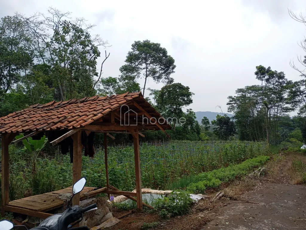 Dijual Tanah Strategis, Pinggir Jalan Provinsi. — foto 1 dari 4